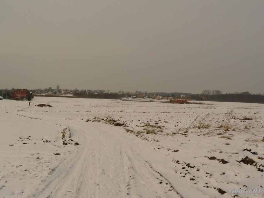Pola w Stolarzowicach.