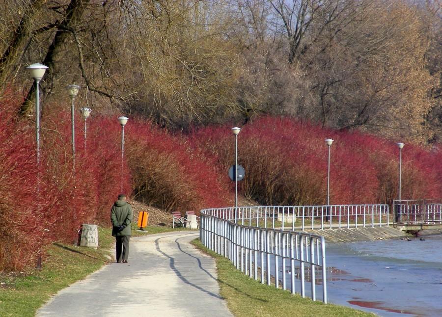 Ścieżka rowerowa