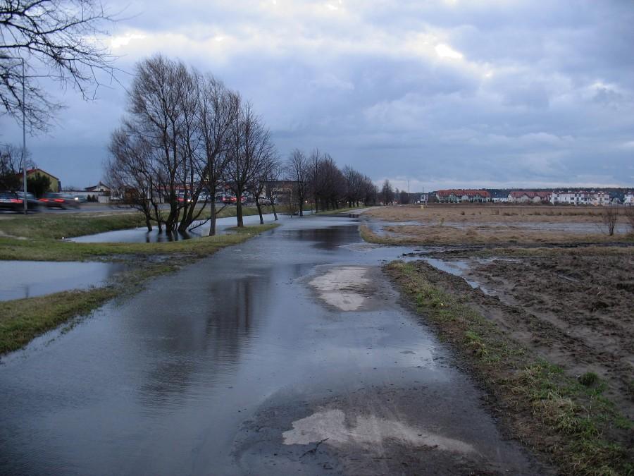 Kałuża na ścieżce do Powsina