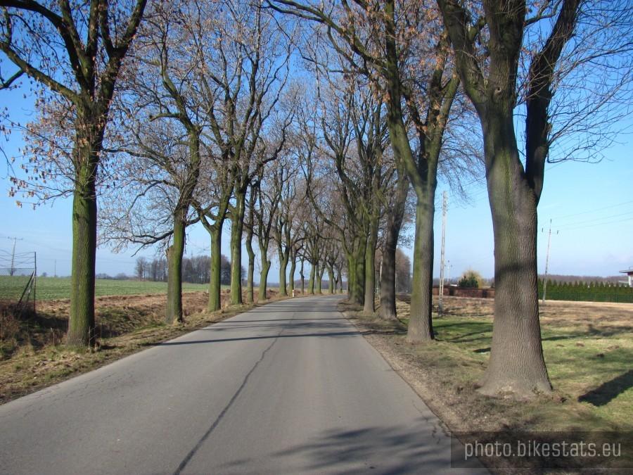 mój asfalcik 4 km od domku