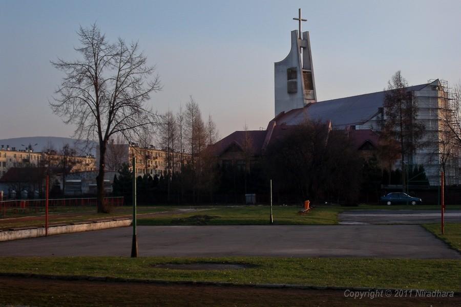 trawa zaczyna się zielenić