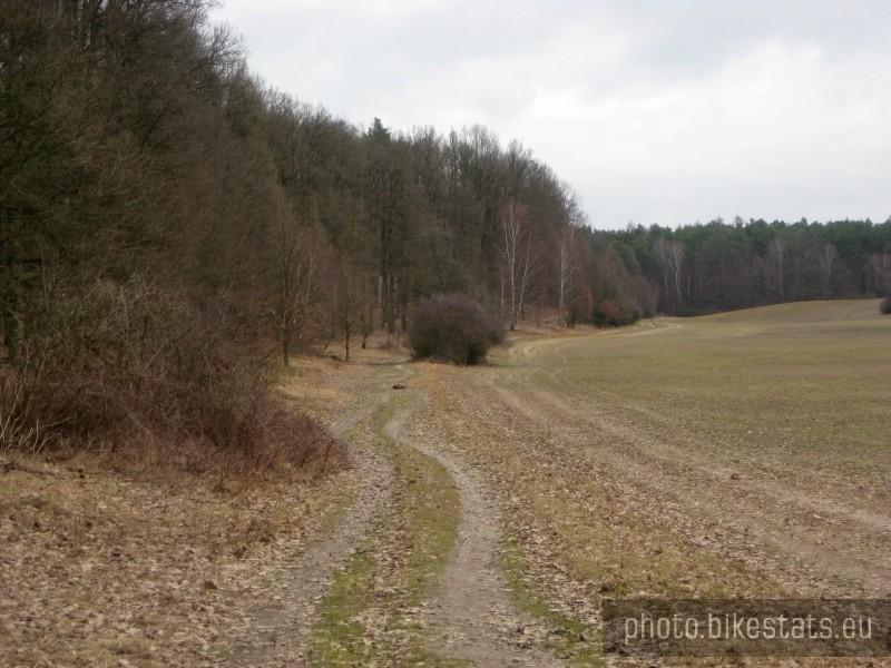 Na skraju Puszczy Zielonki - Dębogóra