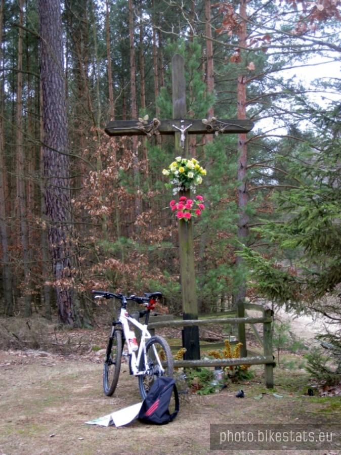 Krzyż pośrodku Puszczy Zielonki.