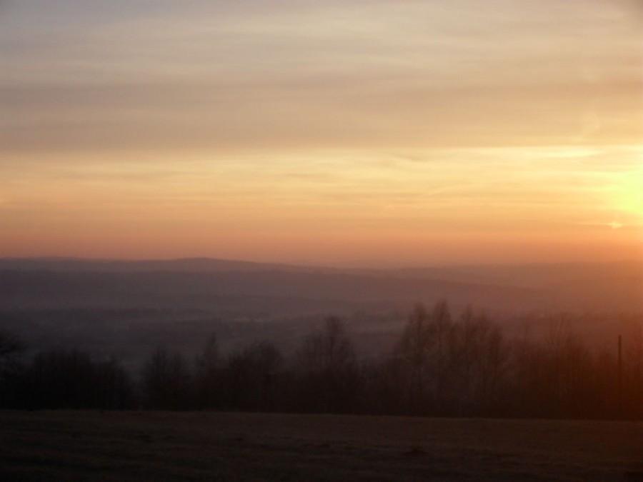 widoczek
