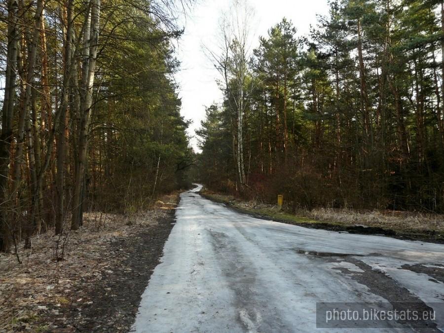 Żyglin-Bibiela, naprawdę ślisko.