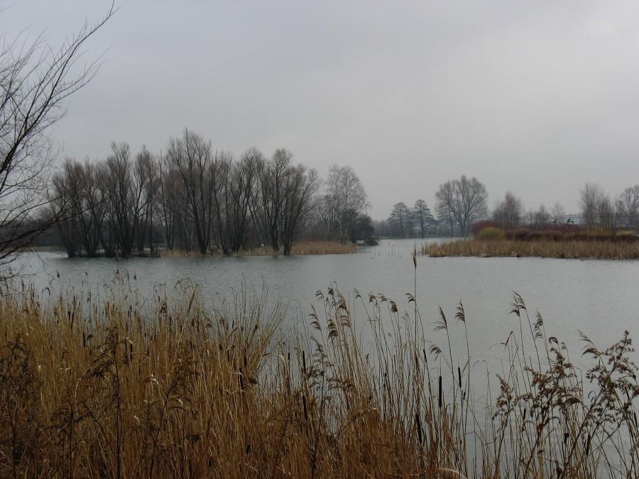 Jezioro Powsinkowskie
