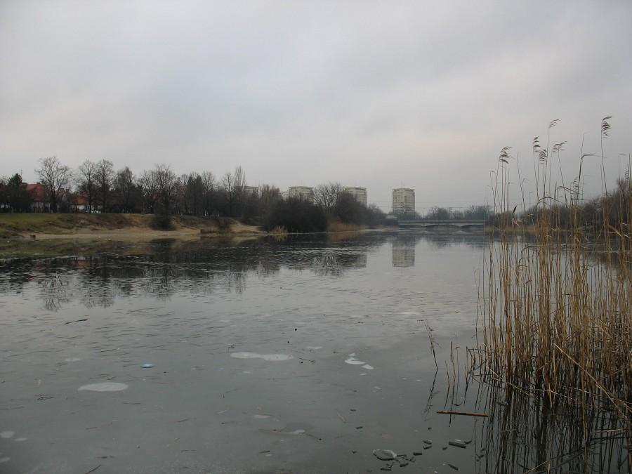 Jeziorko Czerniakowskie