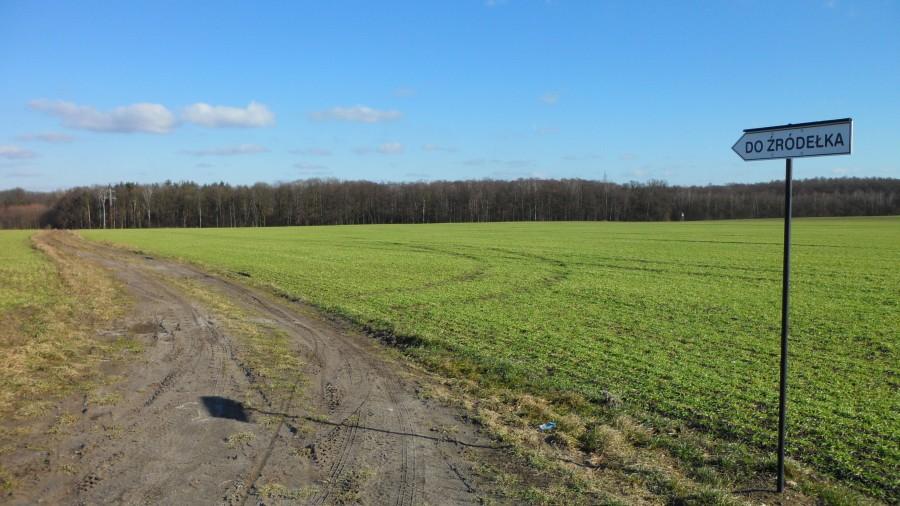 Do źrodełka