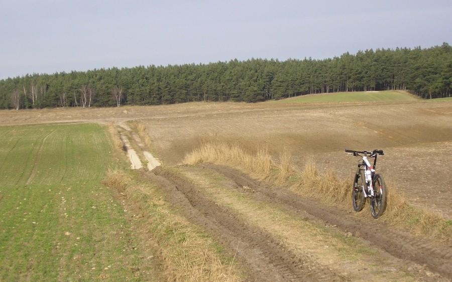 Wywiało mnie w pole ...