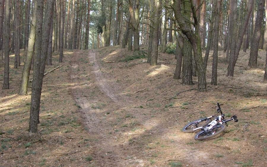 Jak i na nieznane leśne interwały