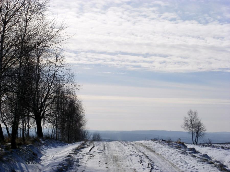 Podczas podjazdu na Magdalenkę