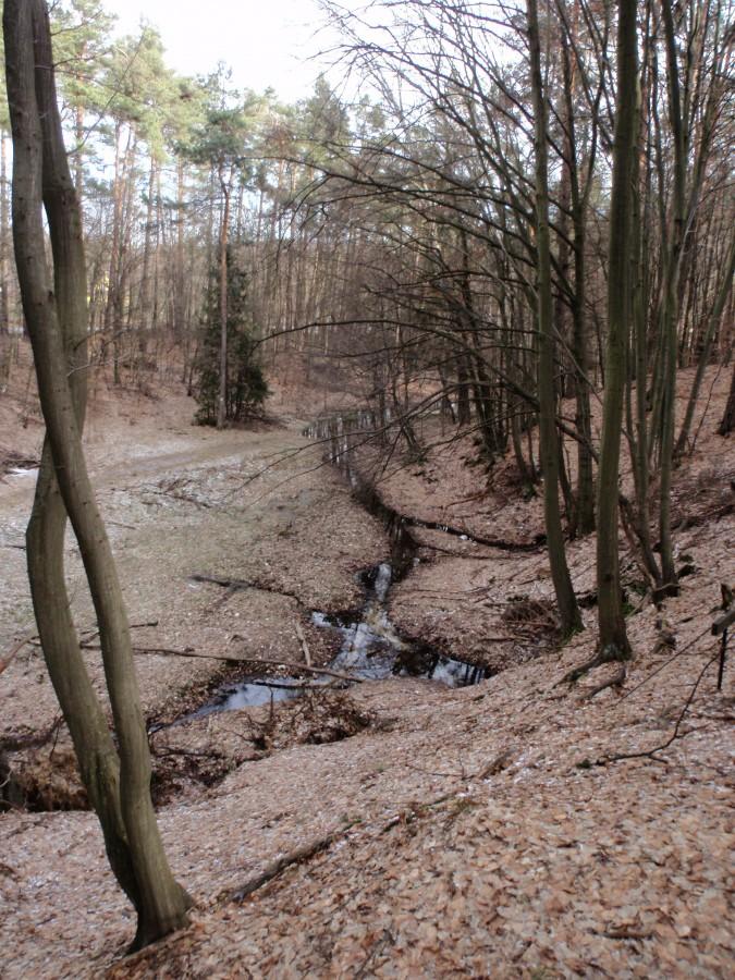 Źródła Ważnych Zdarzeń