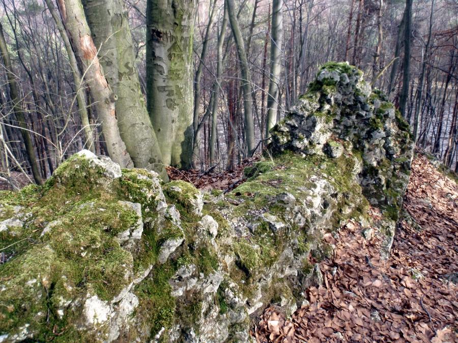 Pozzostałości murów. Ostrężnik
