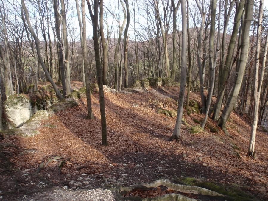 Ostrężnik. Ruiny zamku.