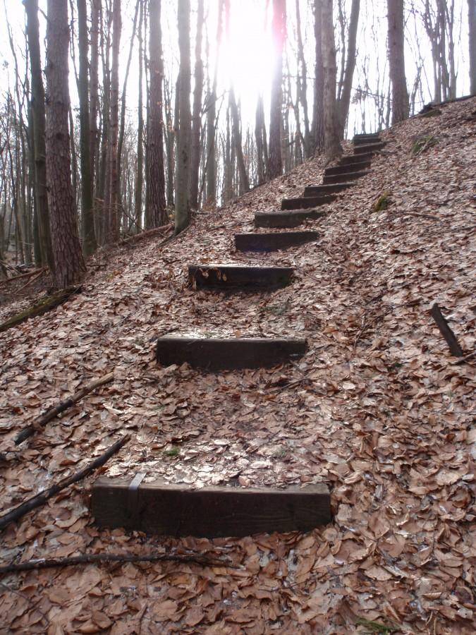 Rezerwat Ostrężnik. Schody.