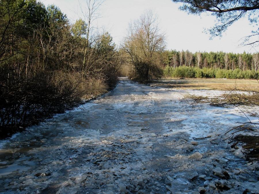 Droga z Czarnego Lasu do Krępej