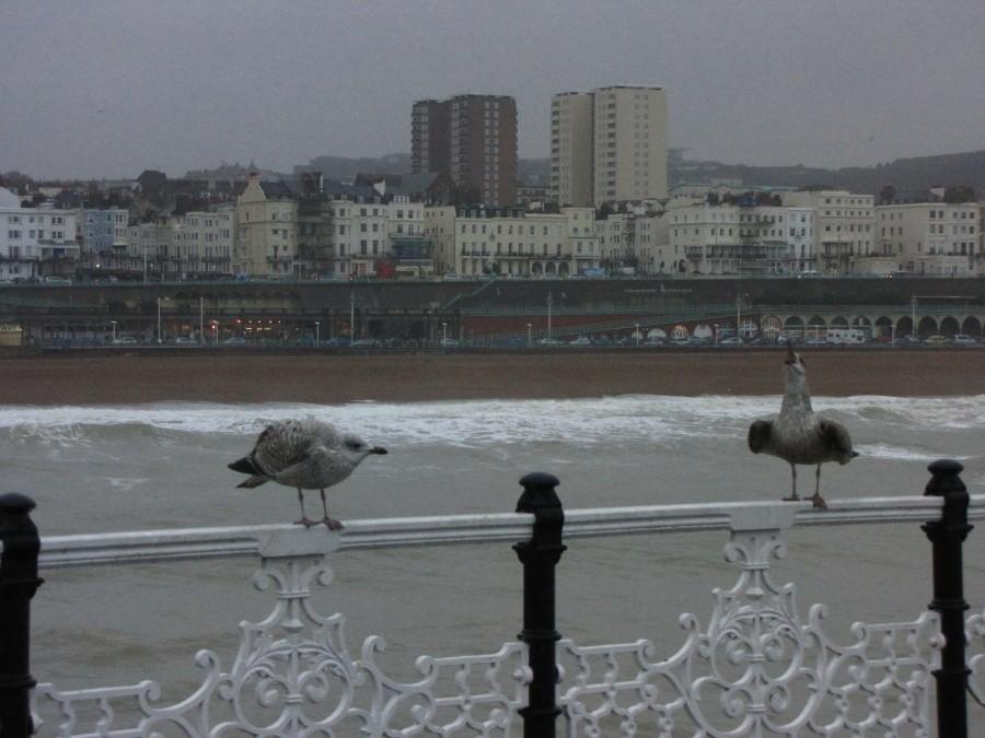 Brighton