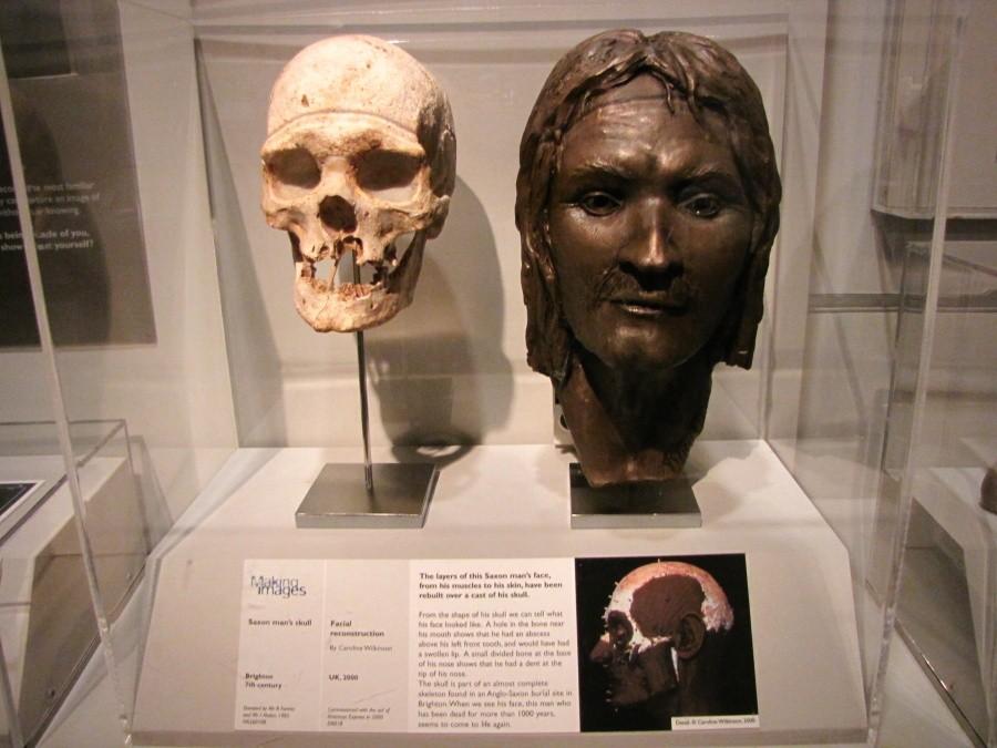 Brighton Museum & Art Gallery