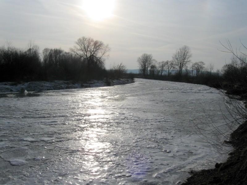 Wisłok w Boguchwale.