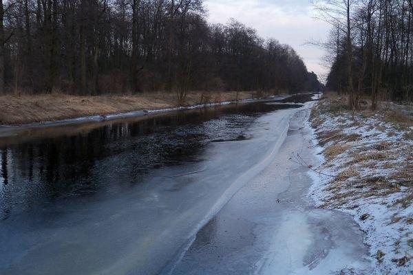 Zamarzająca Łasica