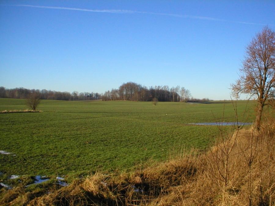 WYSOCZYZNA ELBLĄSKA-FOTKA Z 19 LUTEGO 2003r. :-)