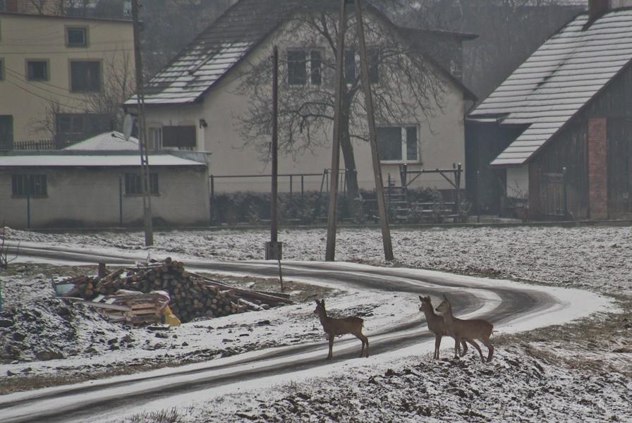 rozglądamy się; w lewo, w prawo i jeszcze raz w lewo