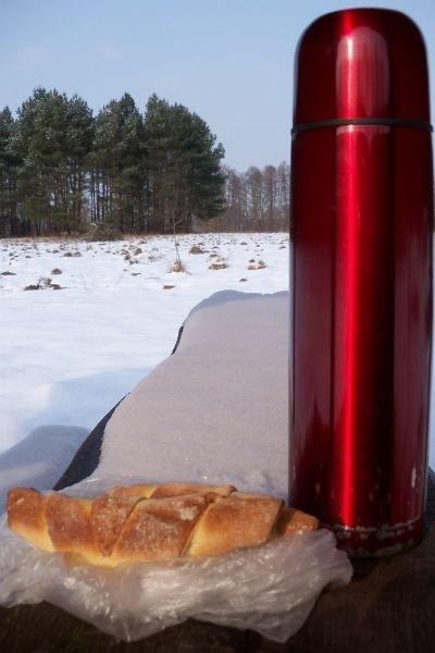 Zimowy popas.