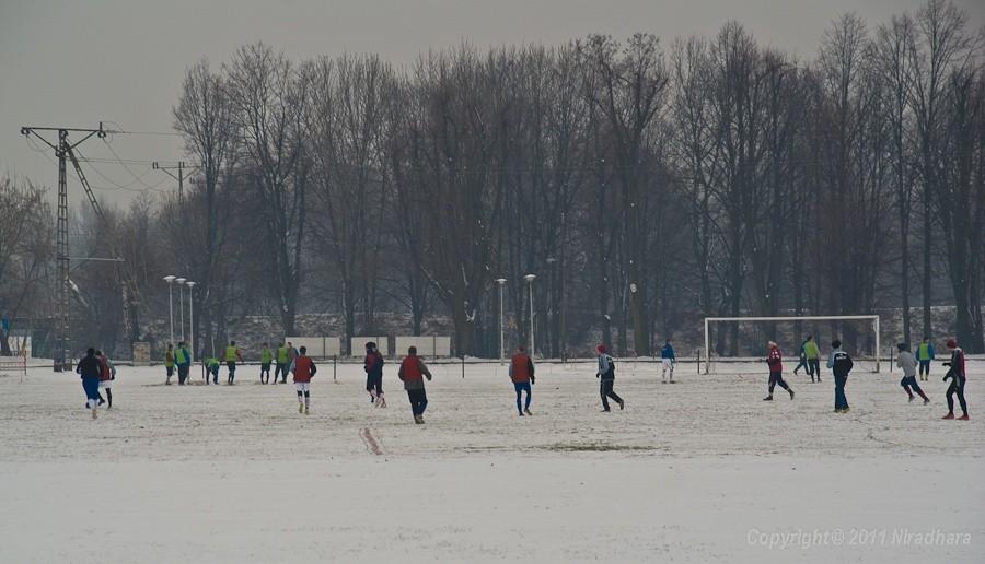 chyba jest im ciepło