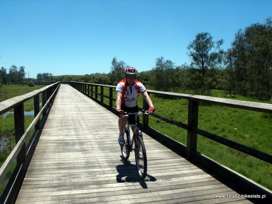 Ścieżka na Boondall Wetlands