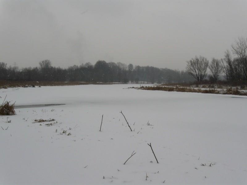 Zmrożony Wisłok.