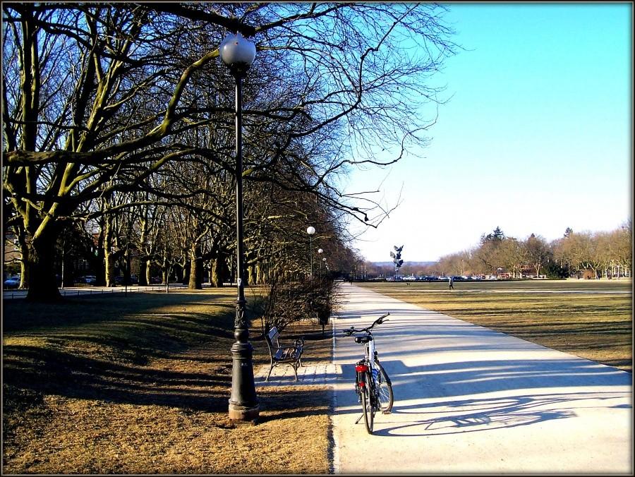 Szczecin. Jasne Błonia.