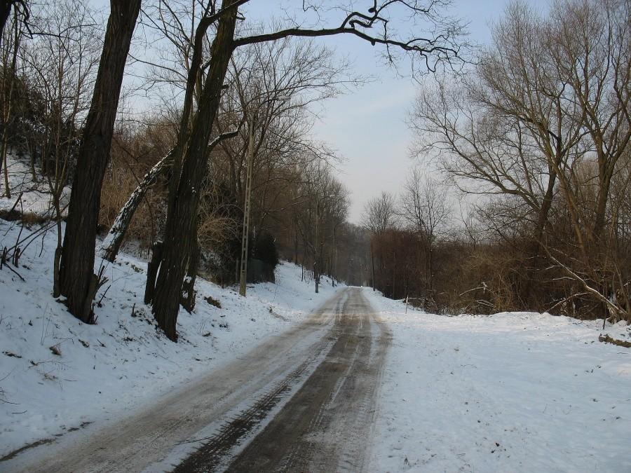 Kabaty - ul. Gąsek