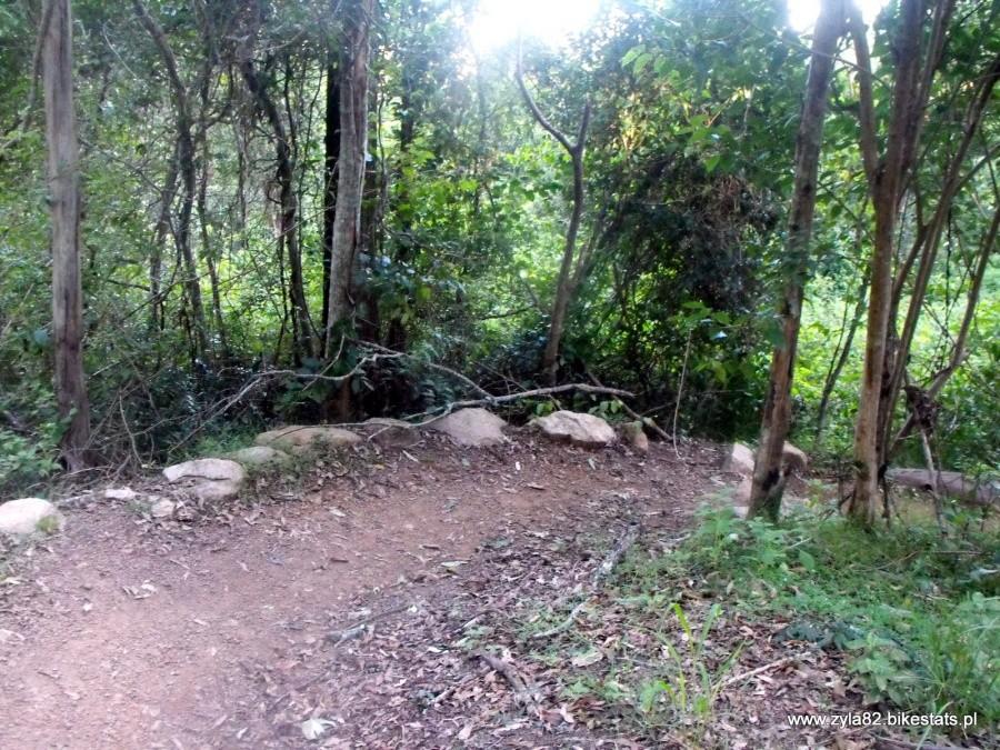 MTB trail in Brisbane