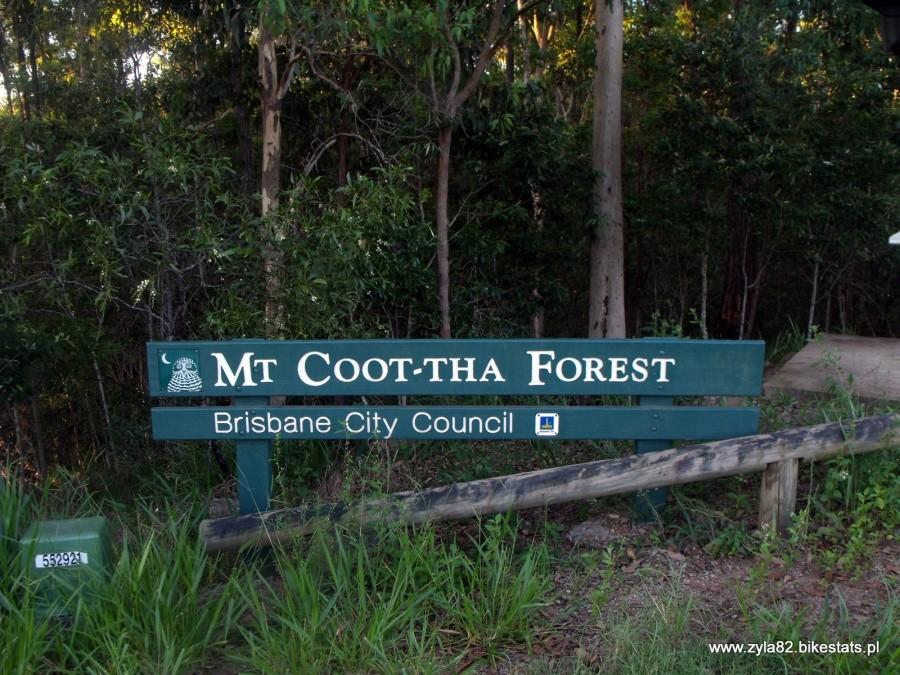 Mt Coot-tha Forest