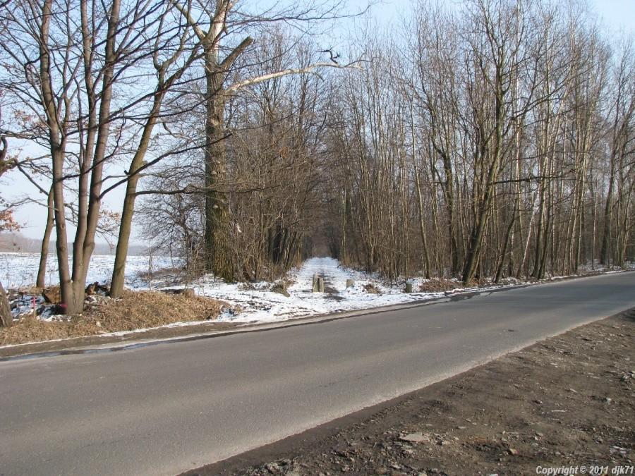 Tamtędy