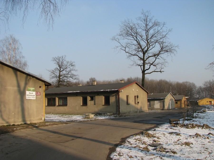 Straszne są te baraki