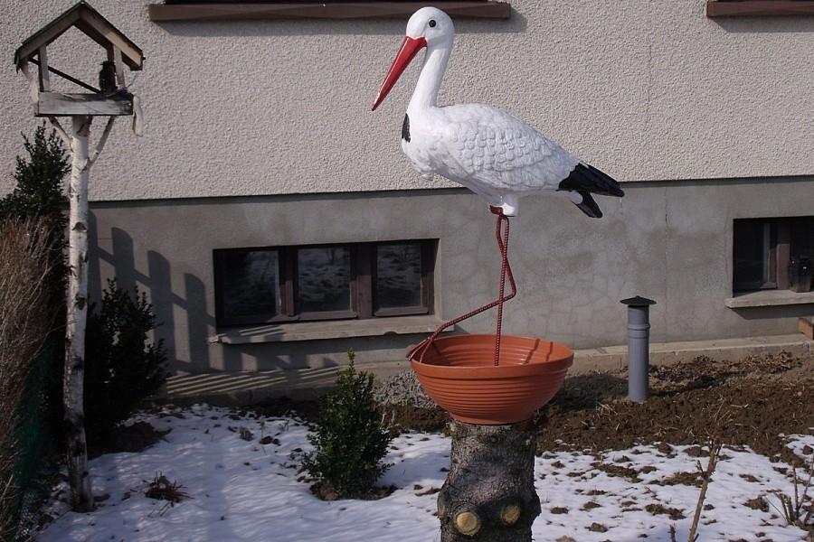 Spotkałem bociana