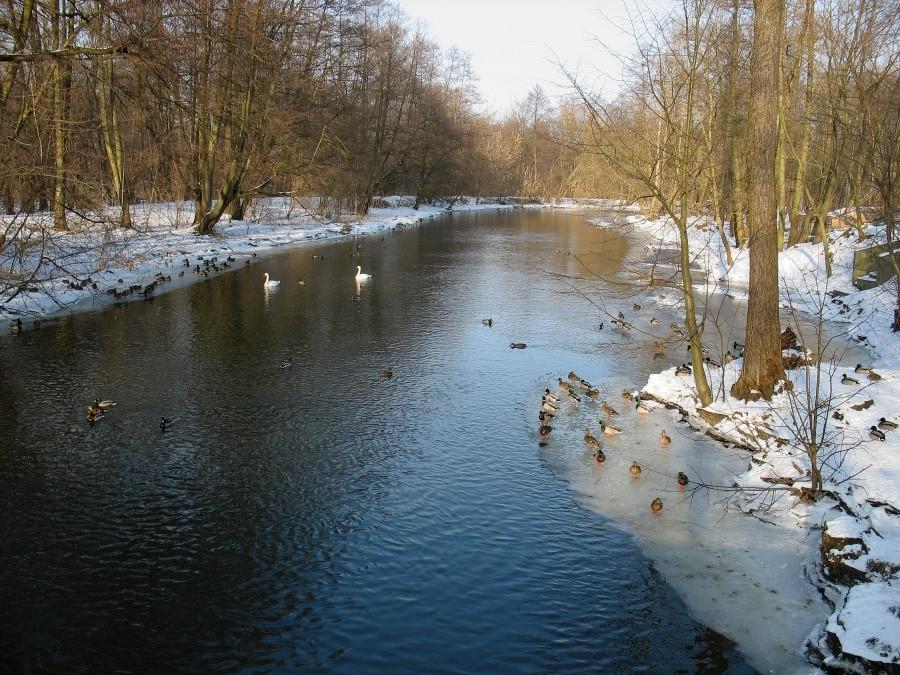 Konstancin - rzeka Jeziorka