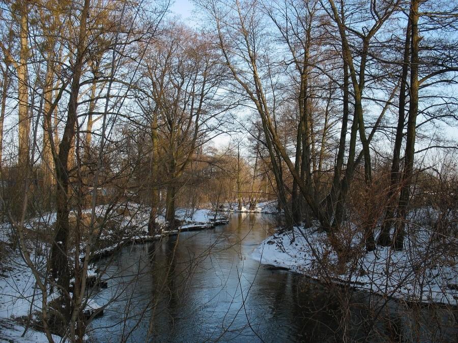 Chylice - Jeziorka przy kładce na Przesmyckiego