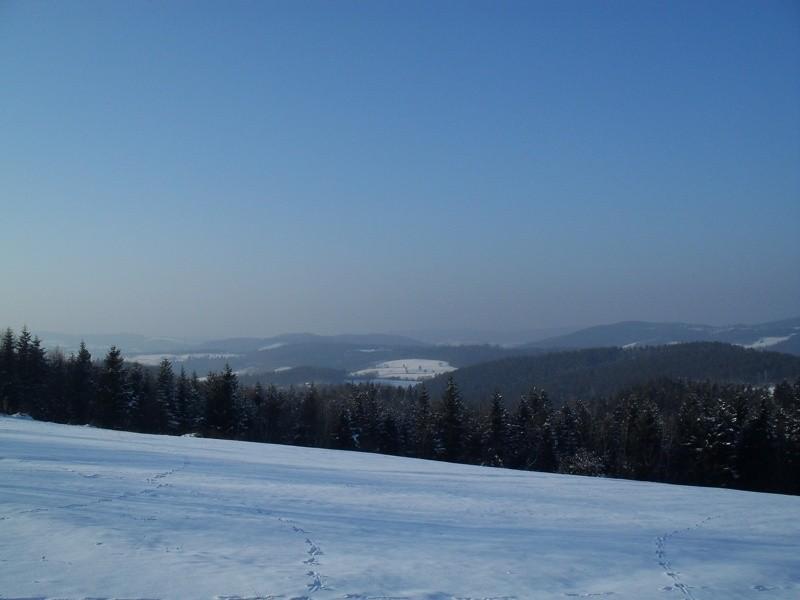Widoczki