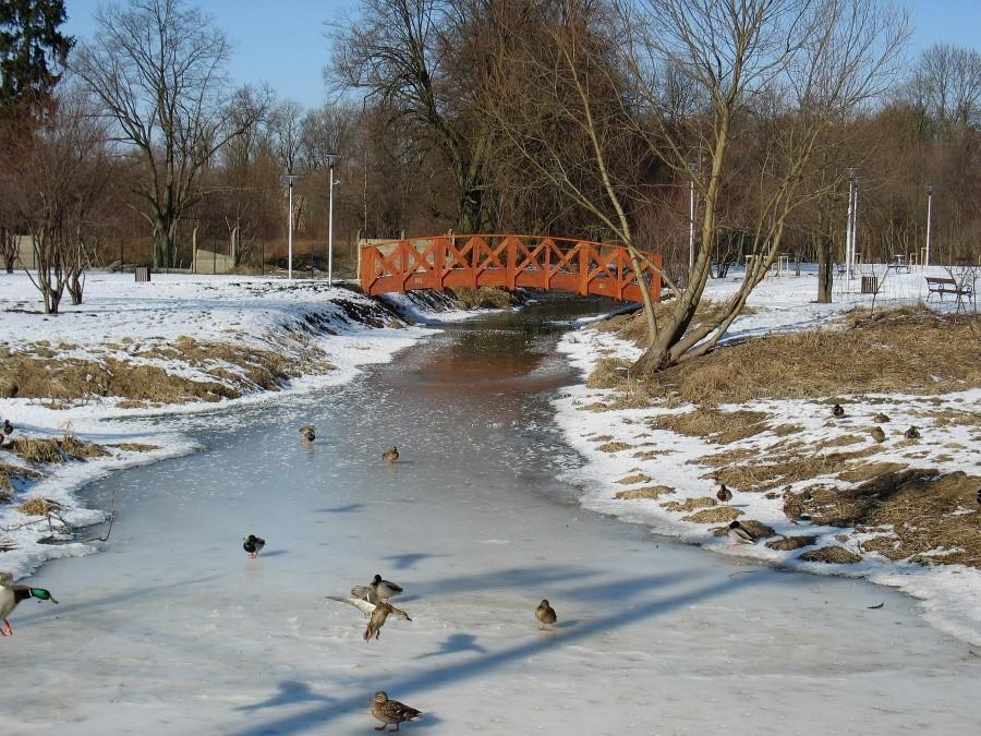 Komorów - mostek na Utracie