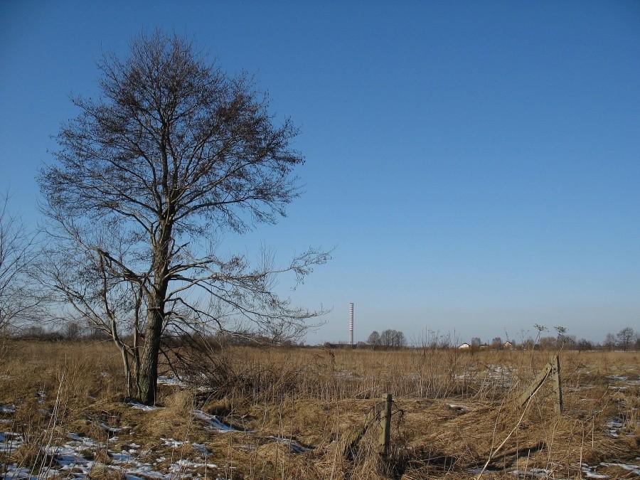 Zwyżka na łąkach parzniewskich
