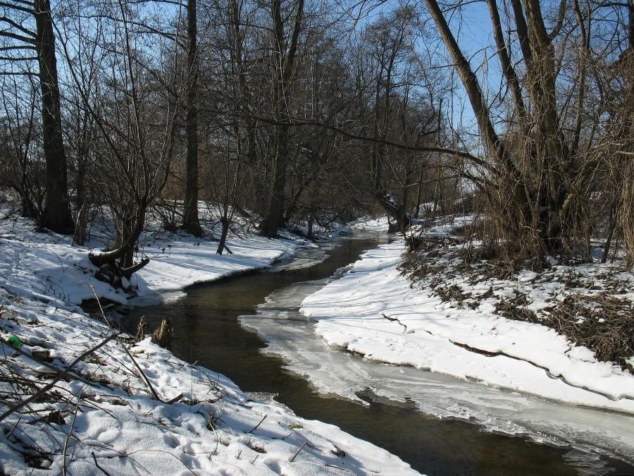 Pęcice - rzeka Utrata
