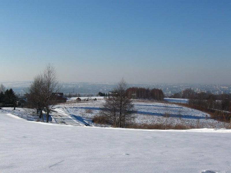 Łany- widok na Rzeszów.