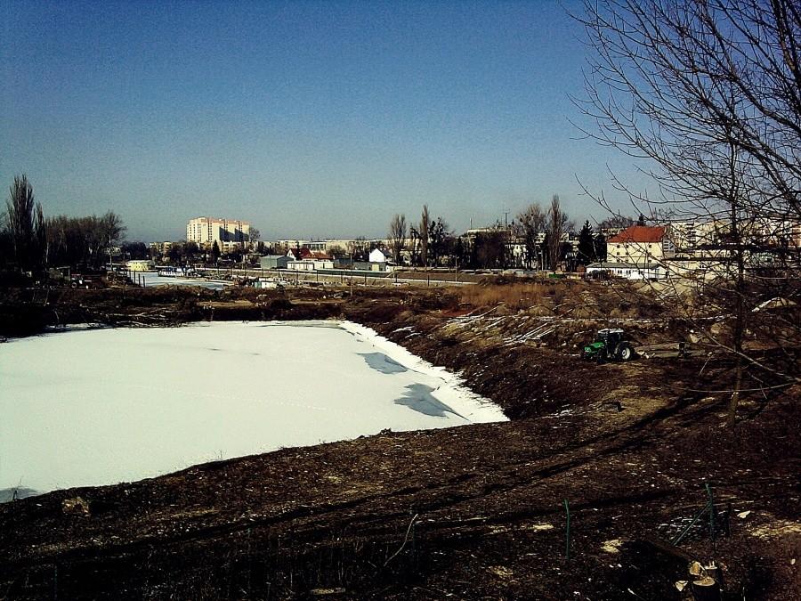 Wielka wycinka