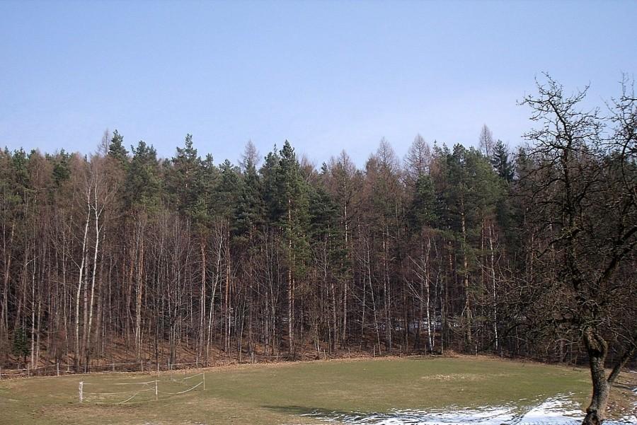 W Porąbce wiosennie