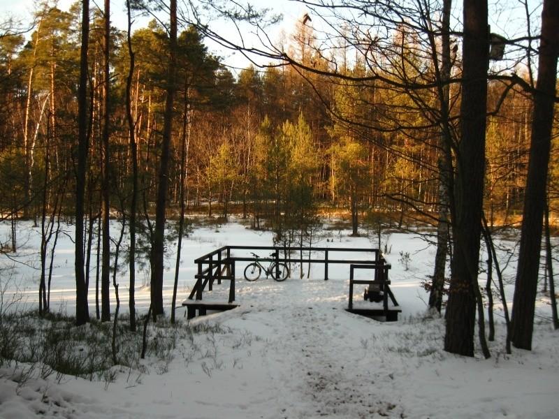 Nad oczkiem wodnym- rezerwat Bór.