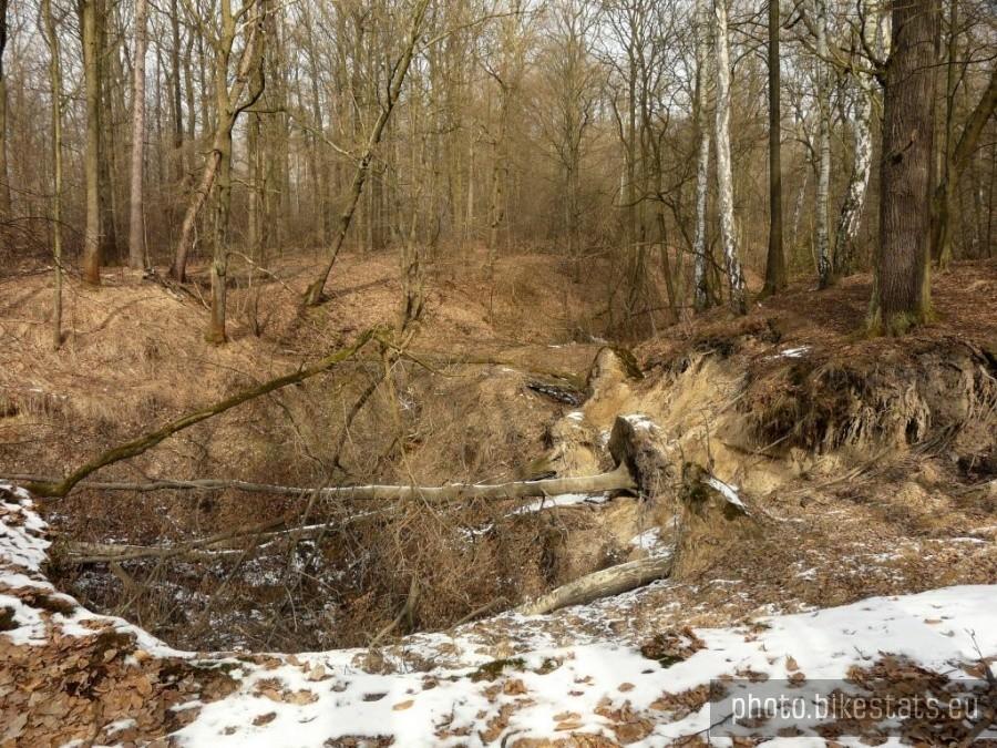 Ponor miechowicki, nazwałem go tak na własne potrzeby :)