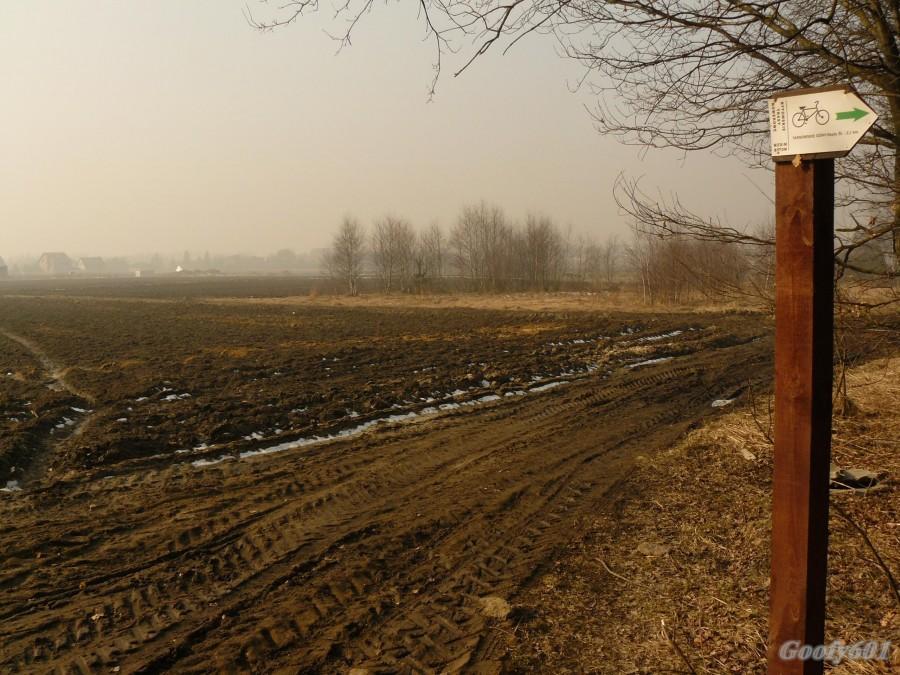 Niewinnie wyglądające pole o poranku ;)