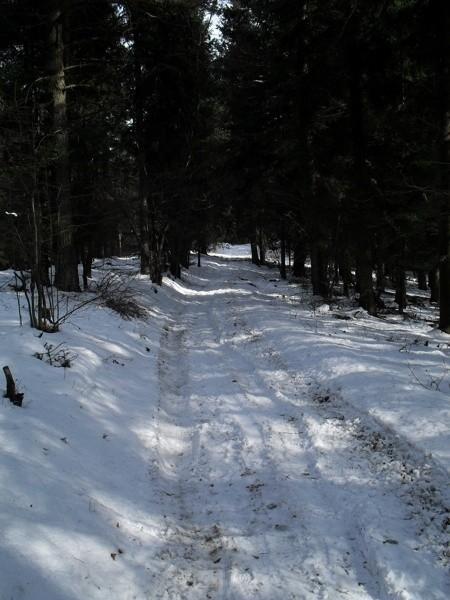 Niebieski szlak